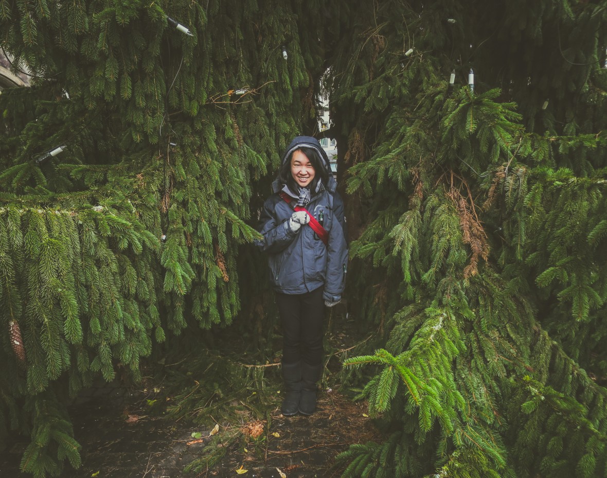 Alps+Italy 2013-14-216