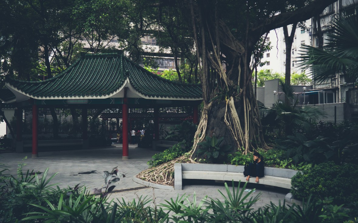 2016-10-09 Sai Ying Pun to Central-16