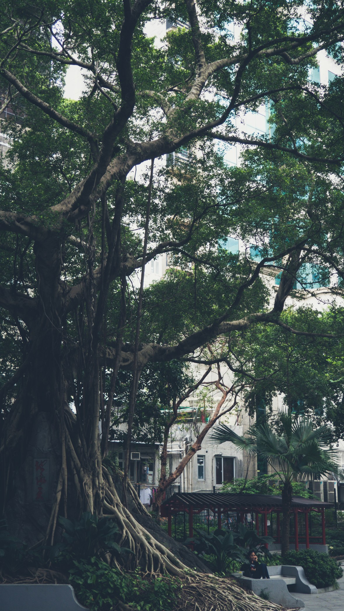 2016-10-09 Sai Ying Pun to Central-18