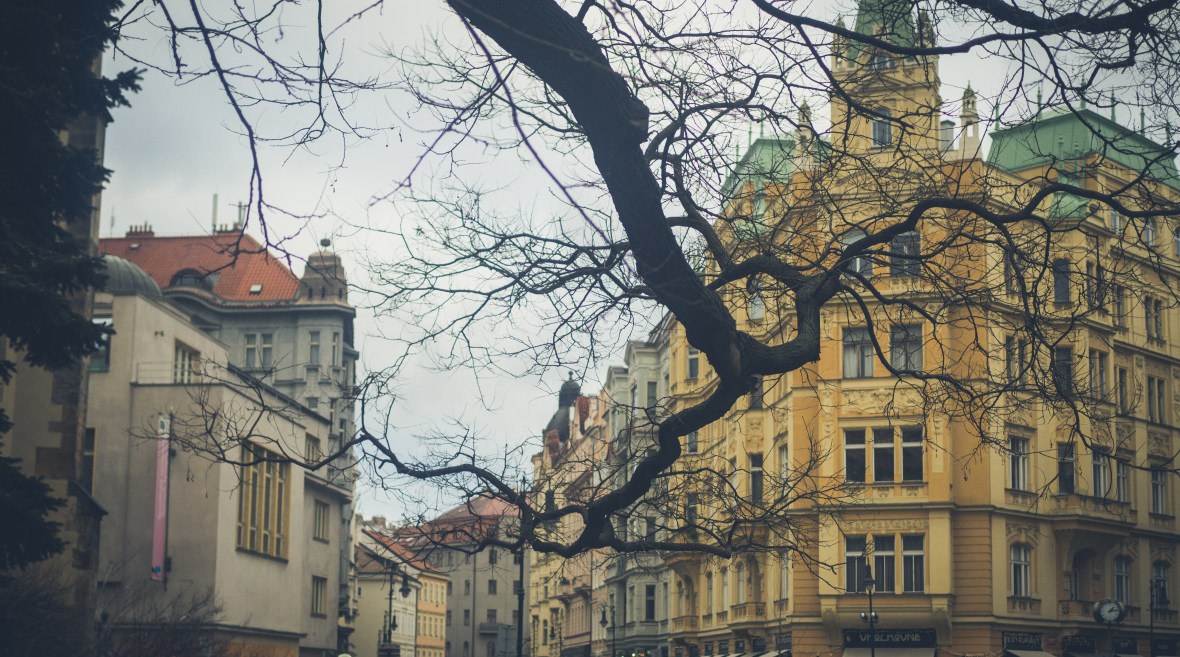 Vienna & Prague 2019-260