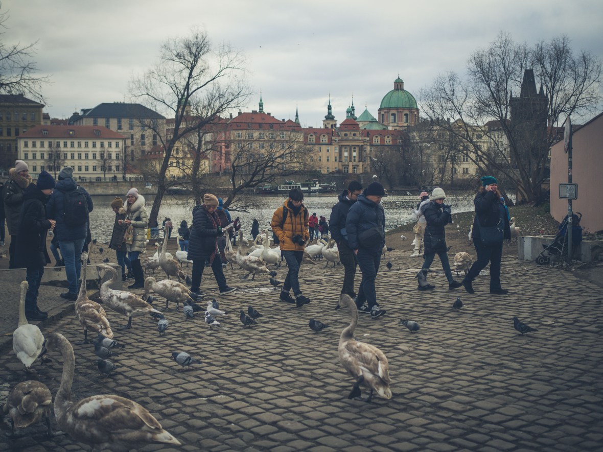 Vienna & Prague 2019-274