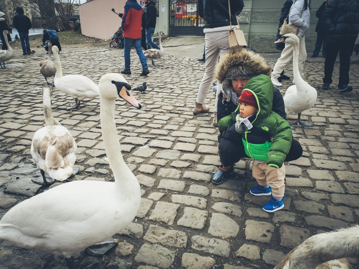 Vienna & Prague 2019-282