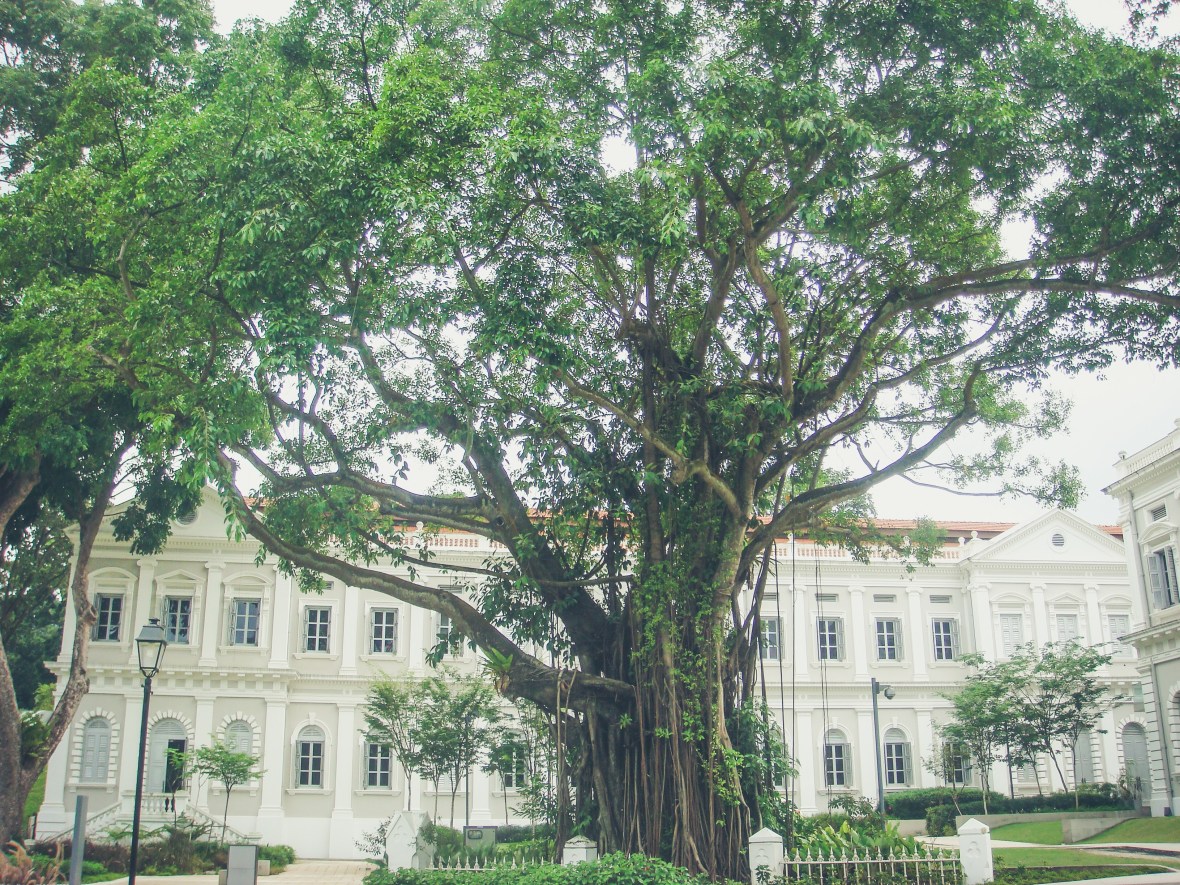 Backpacking Asia 2008-09-109