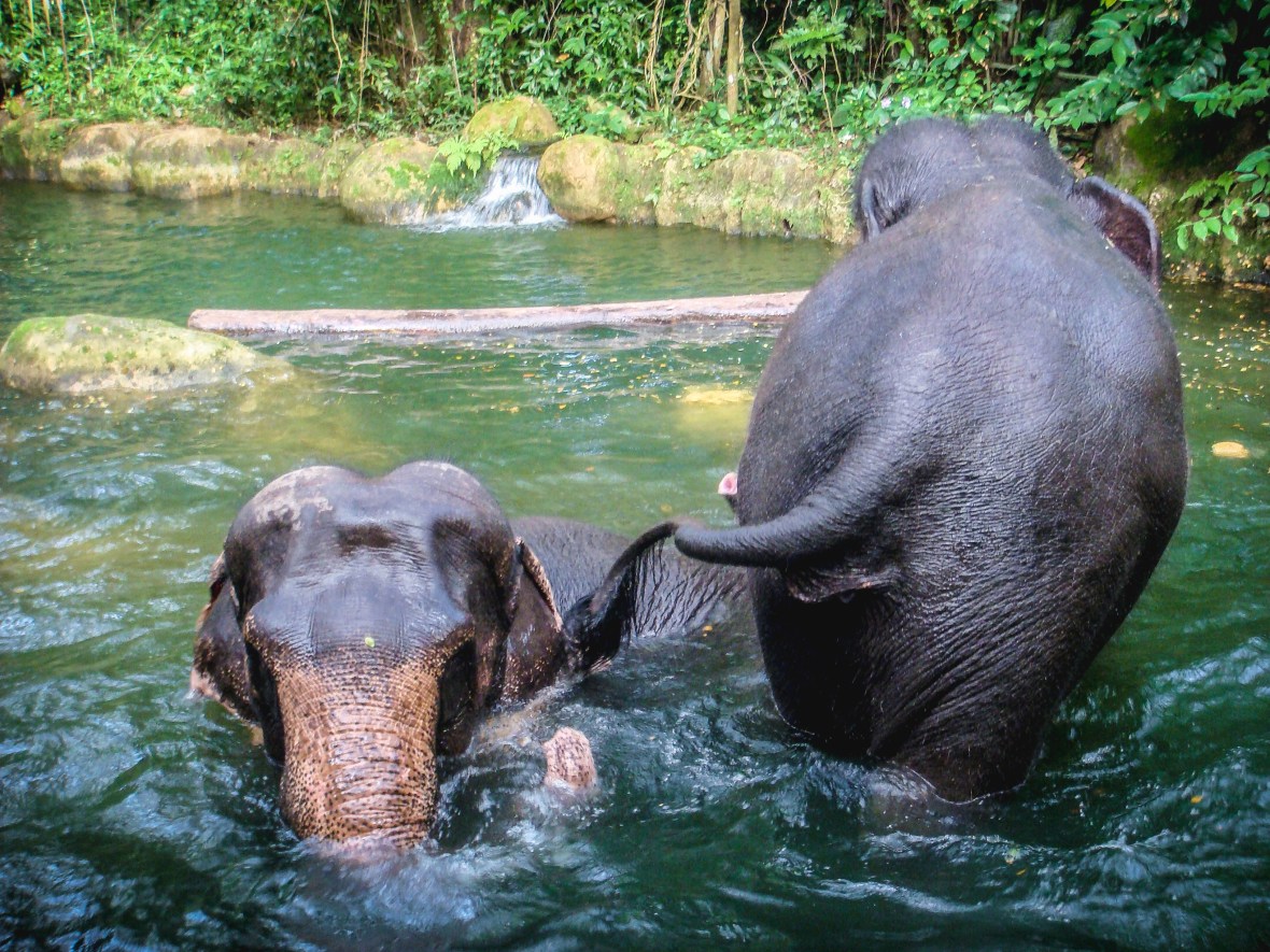 Backpacking Asia 2008-09-200