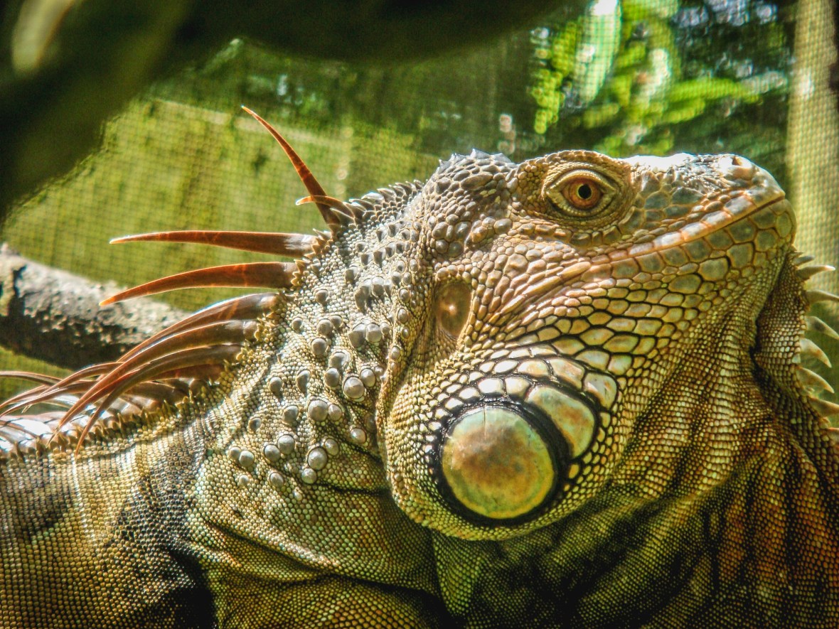 Backpacking Asia 2008-09-210