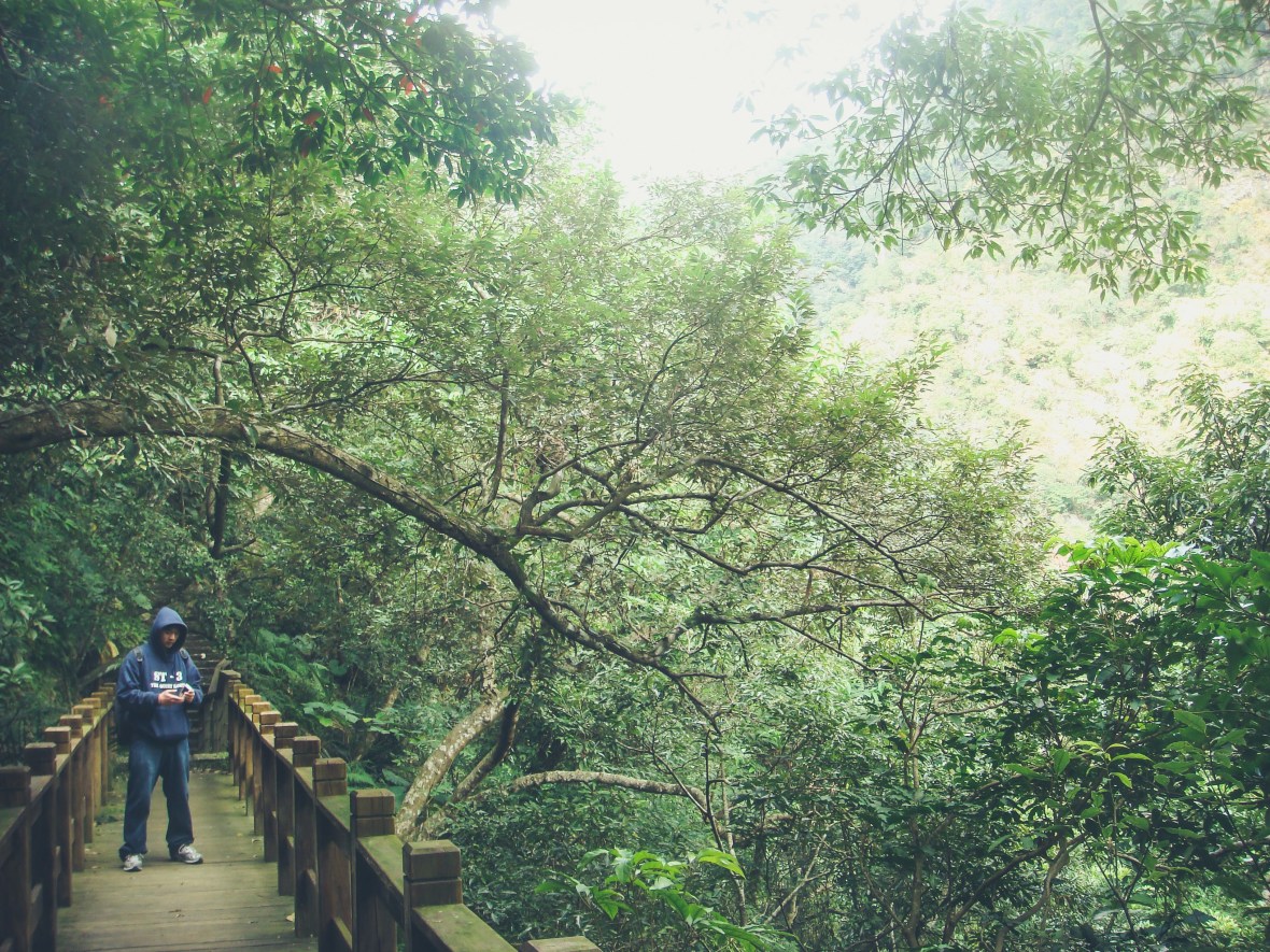 Backpacking Asia 2008-09-387