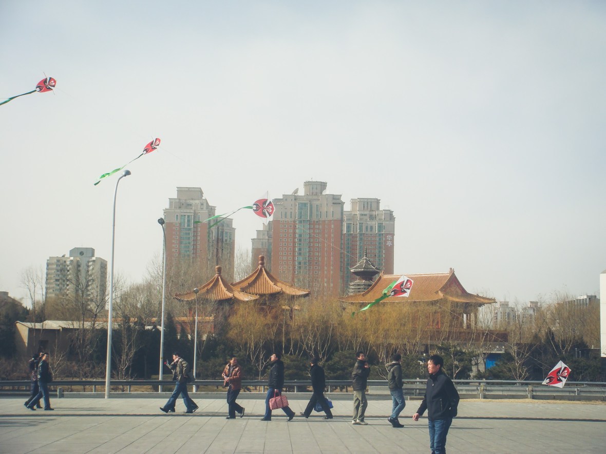 Backpacking Asia 2008-09-468