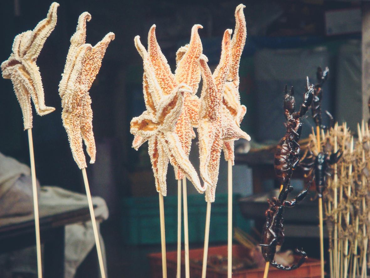 Backpacking Asia 2008-09-476