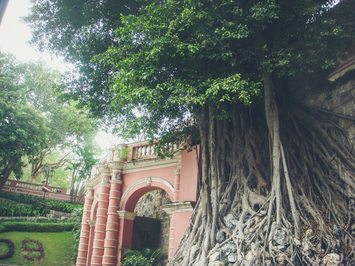 Backpacking Asia 2008-09-494