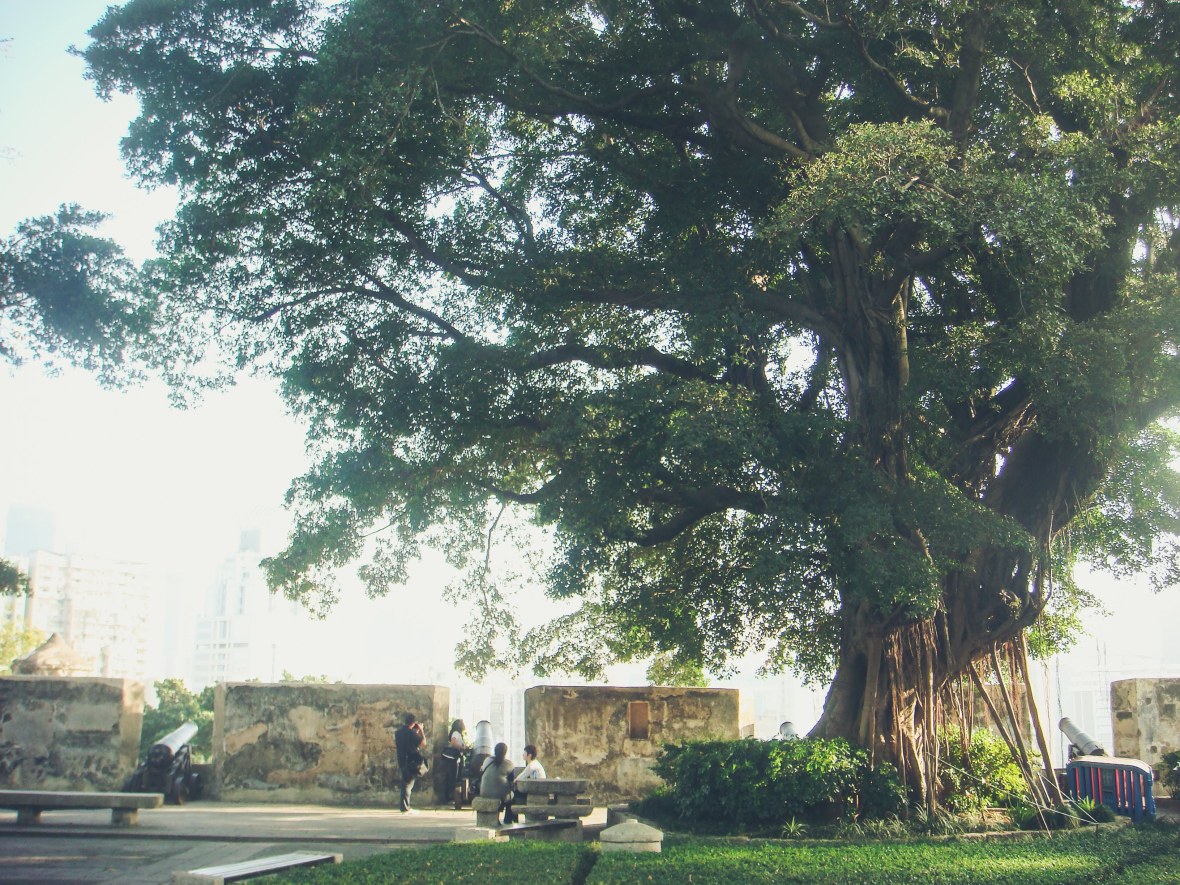 Backpacking Asia 2008-09-520